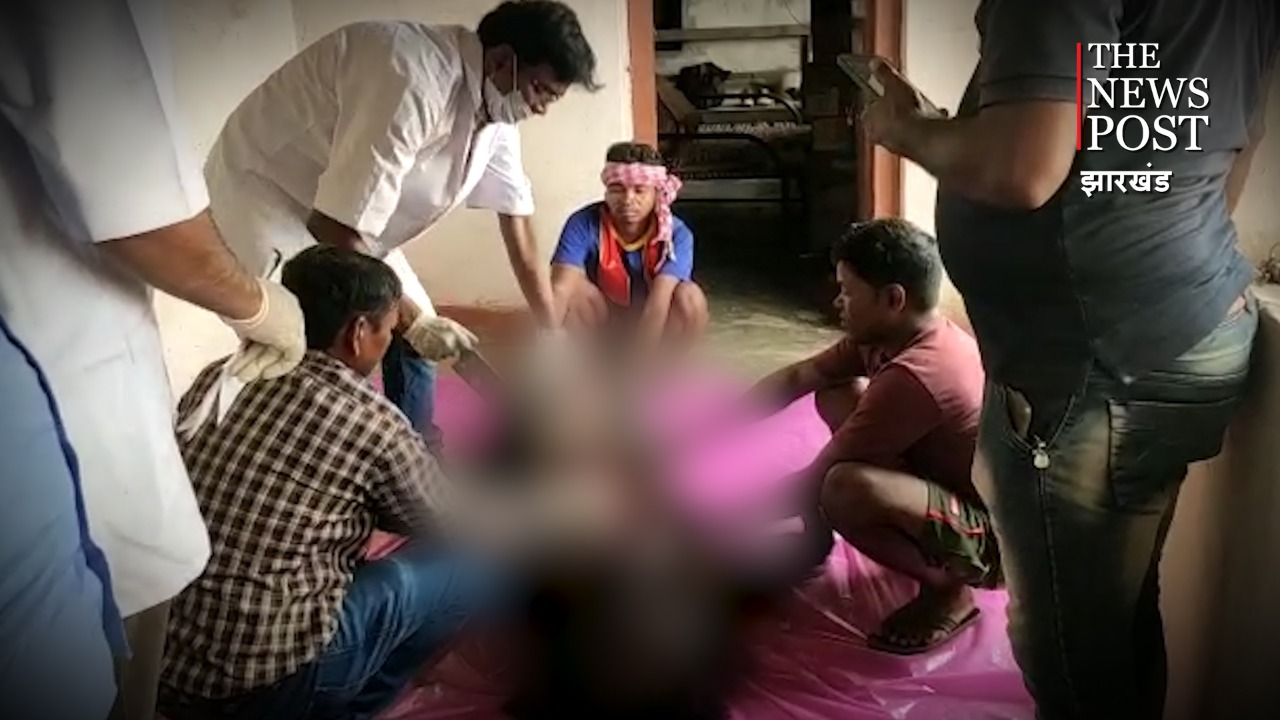 BREAKING : मादा जंगली भालू का शव बरामद, इंफेक्शन होने का संदेह, जांच में जुटी वन विभाग