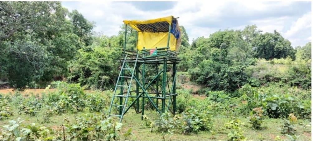 सारंडा में जंगली जानवरों से अब आदिवासियों को मिलेगी सुरक्षा , वन विभाग ने बनवाया बांस के 36 मचान