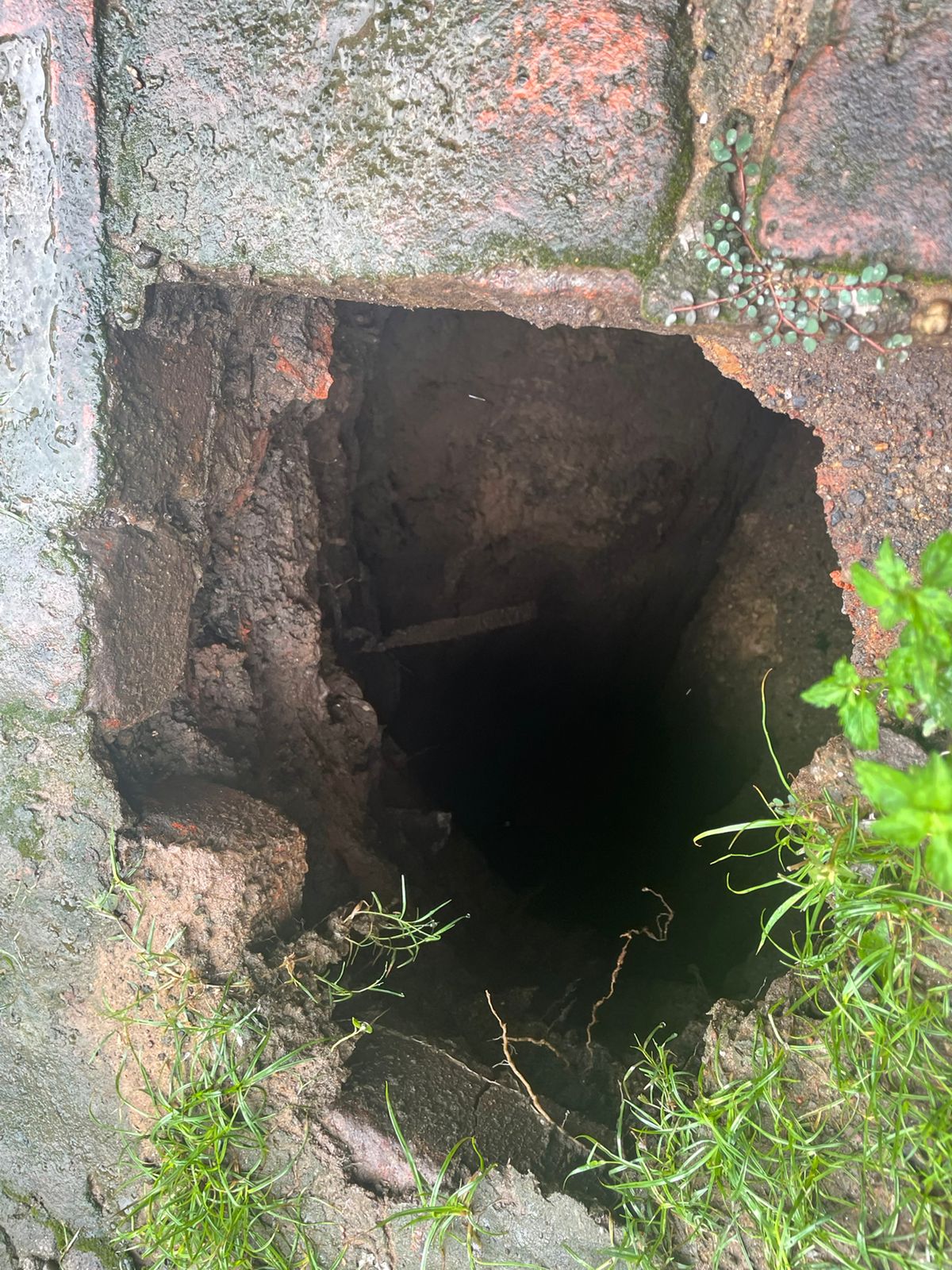 भदरीचक में घर के आंगन में बना बड़ा गोफ, फिर क्या हुआ आप भी जानिए 