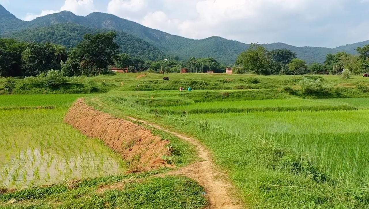 इस गांव में लड़के-लड़की की शादी क्यों नहीं करना चाहते हैं लोग, पढ़िए पूरी खबर