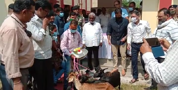 लोगों को आत्मनिर्भर बनाएगी मुख्यमंत्री पशुधन विकास योजना - चंपई सोरेन