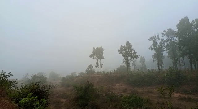 कोहरे की चपेट में आया झारखंड, अभी और ठंड बढ़ने के आसार