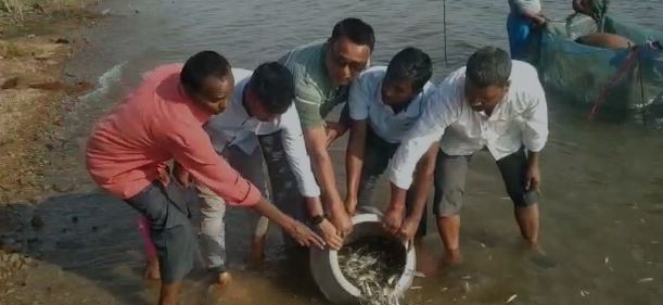 बोकारो:  तेनुघाट जलाशय में 2.80 लाख मत्स्य अंगुलिकाओं का किया गया संचयन, बढ़ेगा रोजगार