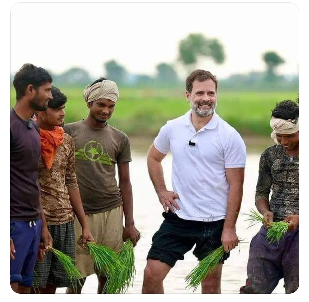 राहुल गांधी के धान रोपने से झारखंड में ट्वीट वार, पढ़िए किसने क्या कहा 