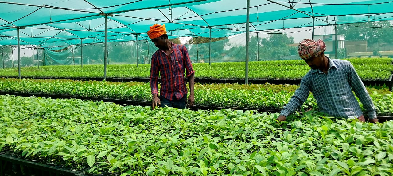 बढ़ी किसानों की चिंता : कृषि क्षेत्र से जीत  कर आनेवाले माननीय अब तो कुछ बोलिये 