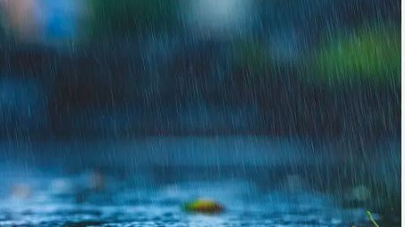 लगातार बारिश से किसानों के चेहरे पर खिली मुस्कान, अक्टूबर के पहले हफ्ते तक पानी बरसने की संभावना, वज्रपात का अलर्ट