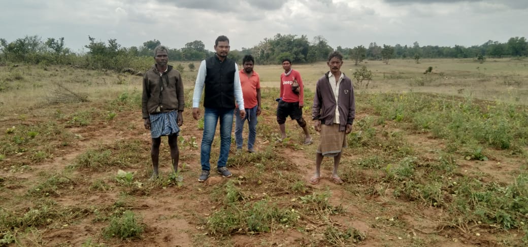 चाईबासा:गजराज के आतंक से ग्रामीण परेशान, हाथियों ने खेतों में लगे फसलों को किया बर्बाद, पढ़ें वन विभाग से क्या है ग्रामीणों की मांग