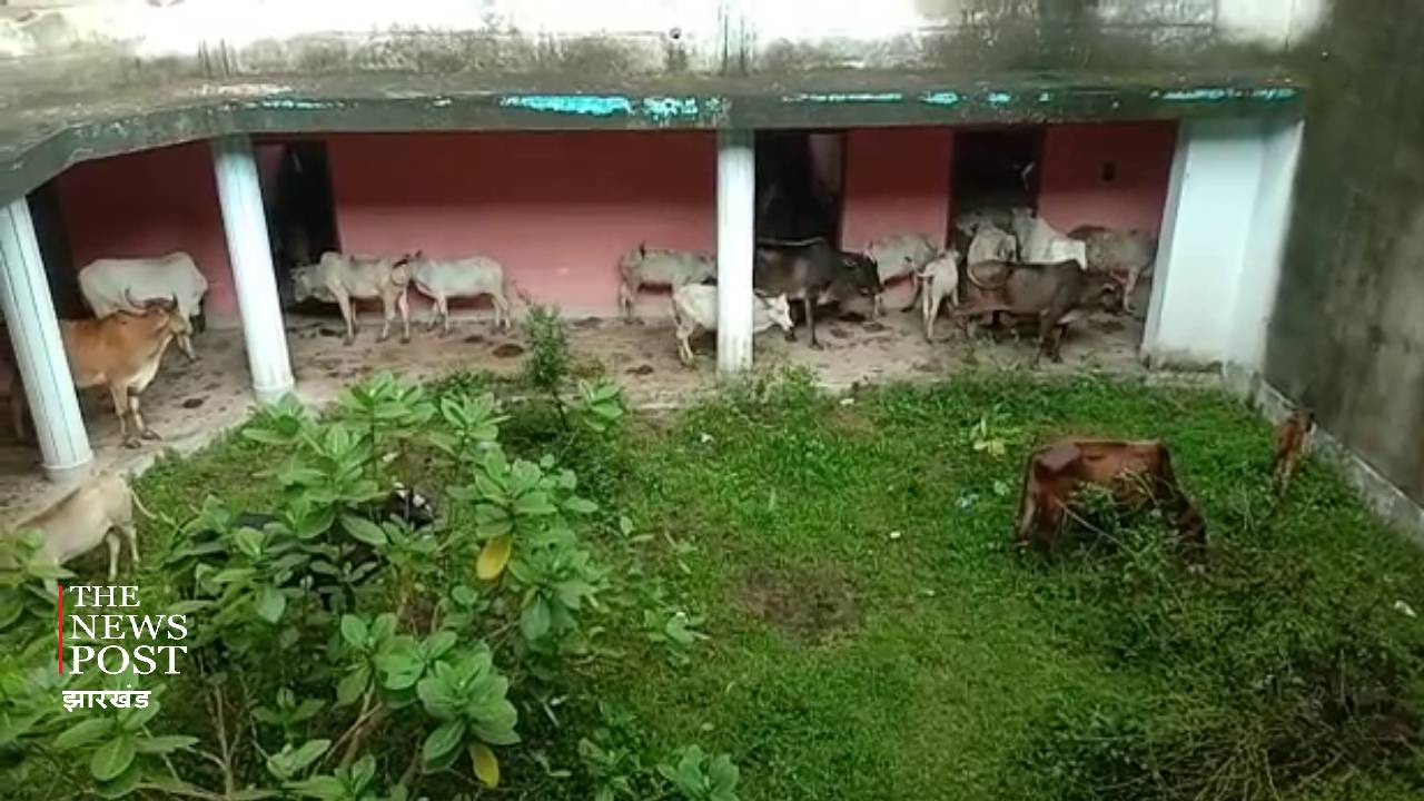 जानवरों के तबेले में तब्दील हुआ महिला औद्योगिक प्रशिक्षण भवन