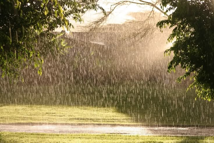 Weather Report:झारखंड के लोगों को परेशान कर सकता है मौसम,कभी धूप तो कभी बारिश की दिखेगी आंख मिचौली 