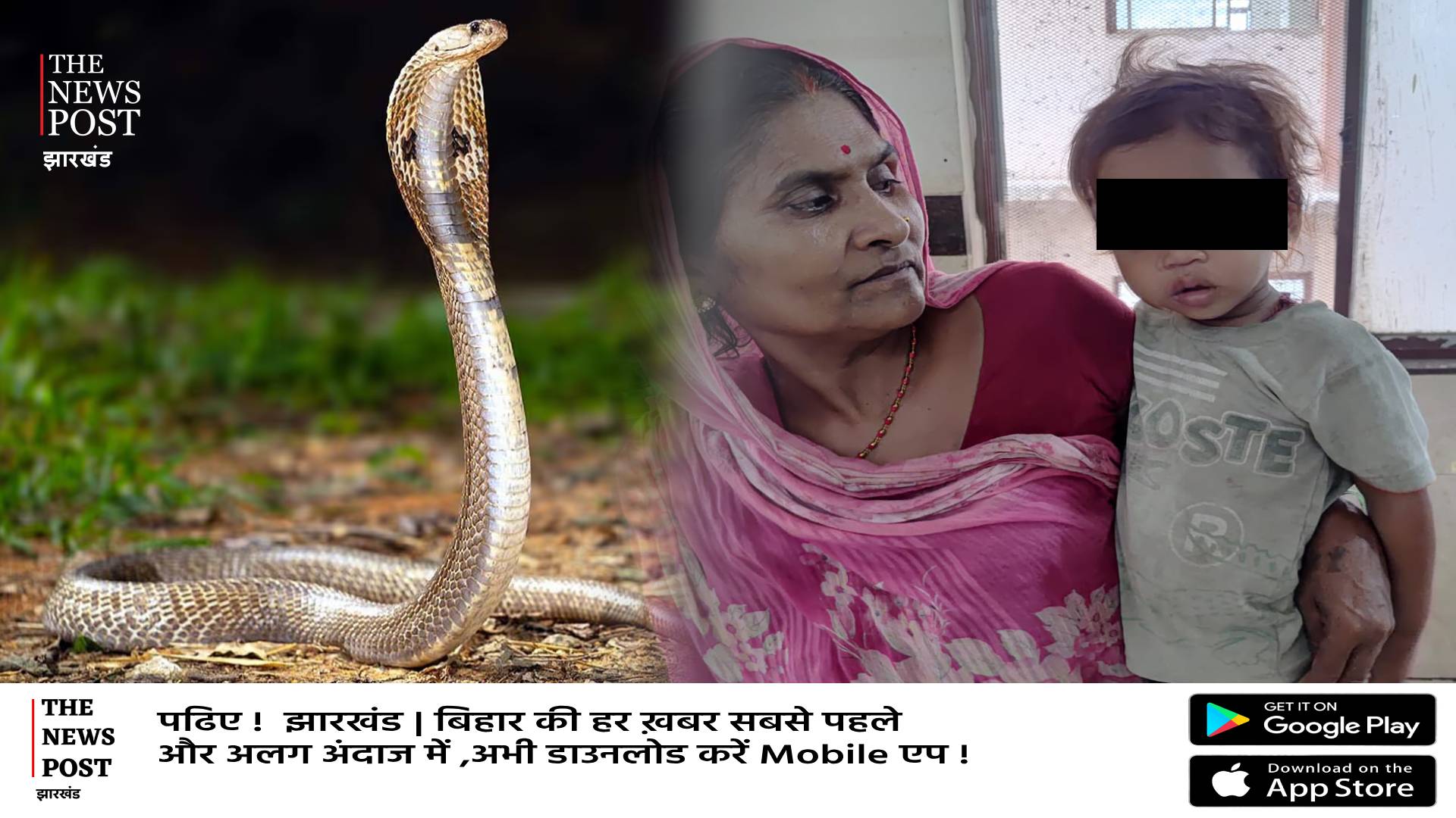 एक साल के बच्चे ने खेल-खेल में कोबरा सांप को काटा, मौके पर सांप की मौत, बच्चा खतरे से बाहर,जानिए पूरी खबर 