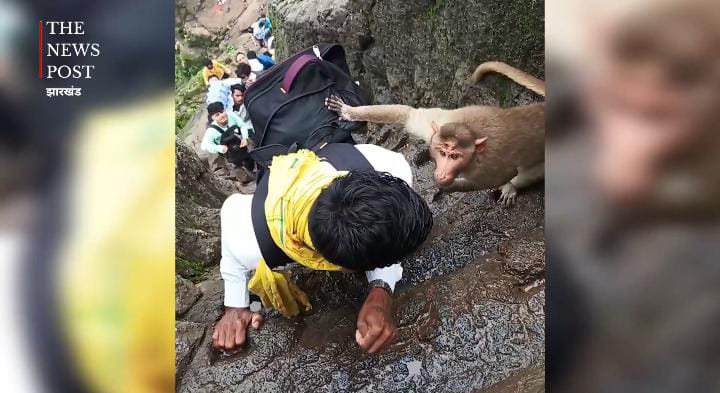 बंदर को चिढ़ाना इस युवक को पडा भारी,पहाड़ पर बंदर ने लगाई ऐसी क्लास की थम गई सांस, देखें-VIRAL VIDEO