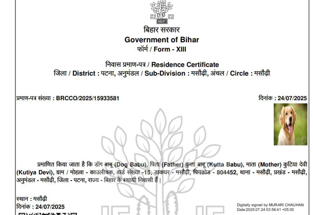हाय रे बिहार का सिस्टम! यहां कुत्ता का भी बनता है निवास प्रमाण पत्र पढे हैरान करनेवाला मामला