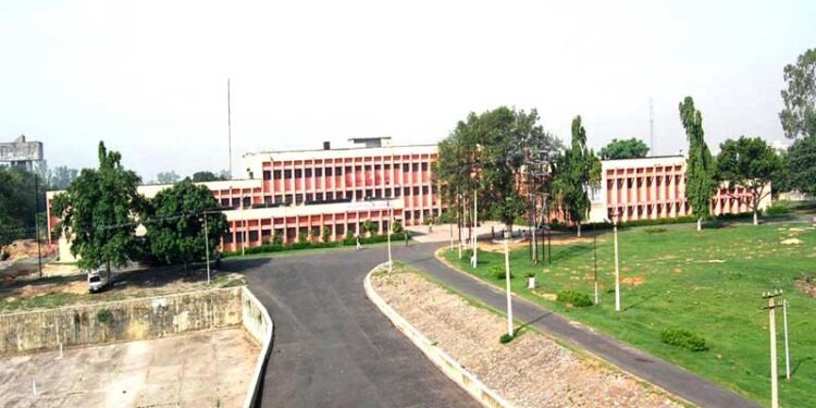 Dhanbad !! आवारा सांड़ आज फिर बन गया एक परिवार के लिए काल ,भूली का एक परिवार हुआ हादसे का शिकार !!
