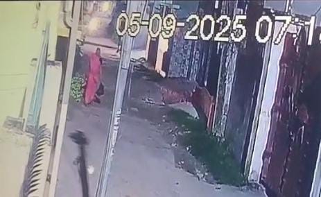 बाजार से लौट रही थी बुजुर्ग महिला, तभी अचानक स्नैचर ने छीन ली चैन,देखे CCTV LIVE VIDEO 