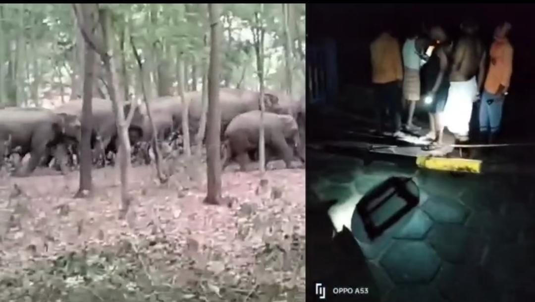 हाथियों के उत्पात से रेलवे प्रशासन भी परेशान, रेल फाटक तोड़ा, बड़ा हादसा टला, देखिए Video 