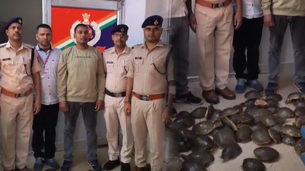 धनबाद RPF की बड़ी कार्रवाई: दून एक्सप्रेस से 7.8 लाख रुपये के 78 जीवित कछुए बरामद, वन्यजीव तस्करी का प्रयास नाकाम