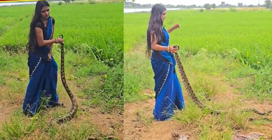 दम है बॉस...साडी पहनी महिला ने जब पकड़ा विशालकाय अजगर, तो हैरान रह गए लोग आप भी देखिए फिर क्या हुआ