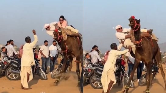 ऊंट की सवारी करने चला था कपल, फिर हुआ कुछ ऐसा की सहम गए लोग, देखिए Video 