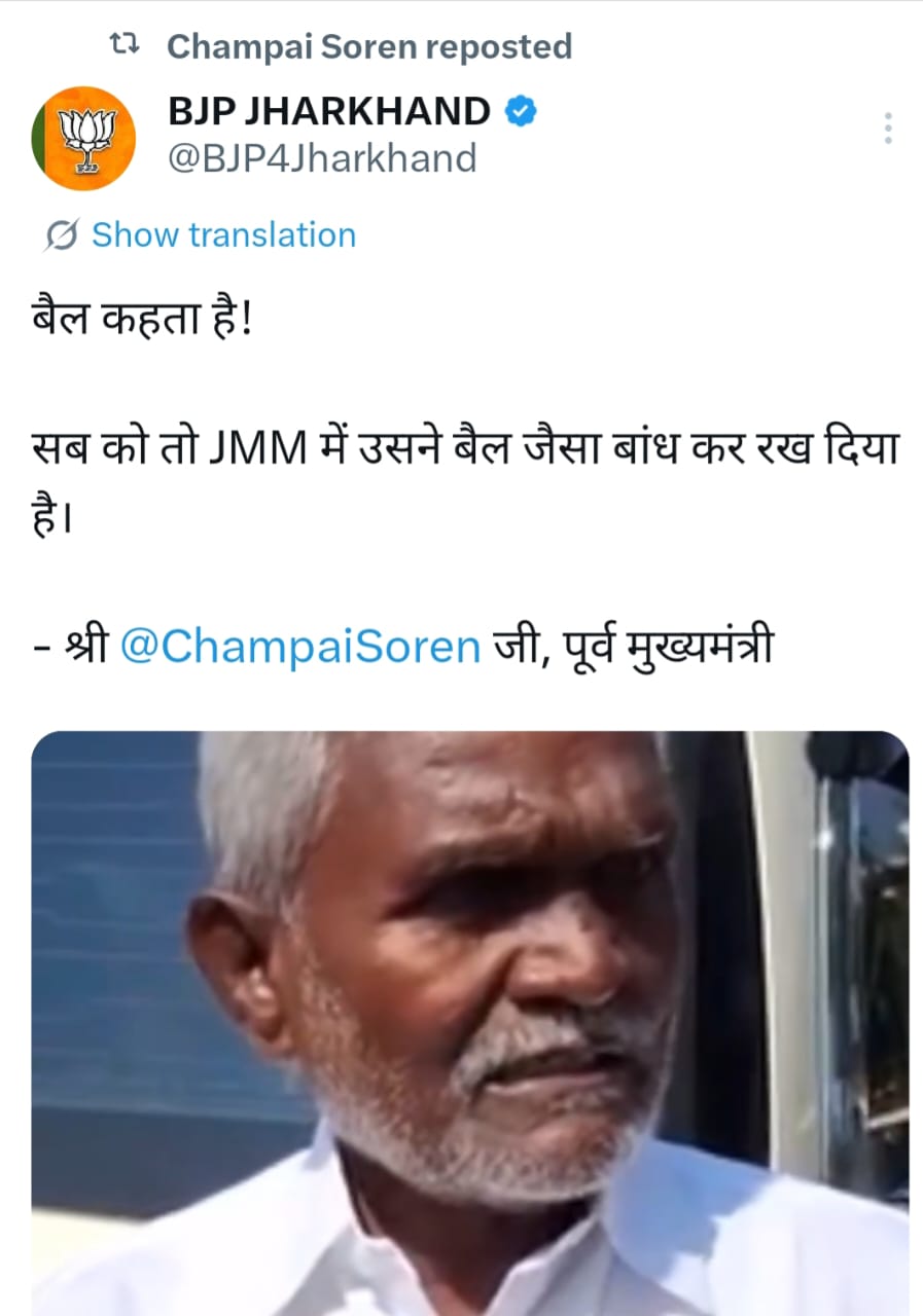 Jharkhand Politics: घाटशिला का "बैल" 14 के बाद क्यों घुमेगा पूरे झारखण्ड में,क्या  बताएगा आदिवासियों को !! 