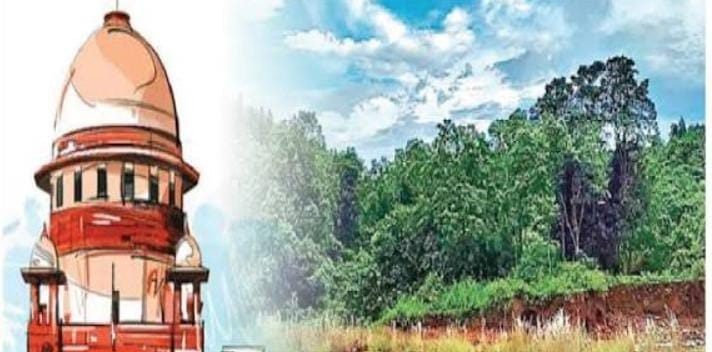 सुप्रीम कोर्ट का बड़ा फैसला : सारंडा के 31,468 हेक्टेयर क्षेत्र को घोषित किया जाएगा वाइल्डलाइफ सैंक्चुअरी, चार हफ्ते में कार्रवाई के निर्देश