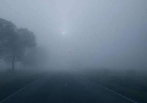 Weather Alert:21 नवंबर तक कैसा रहेगा मौसम का हाल, पढिये IMD का बड़ा अपडेट