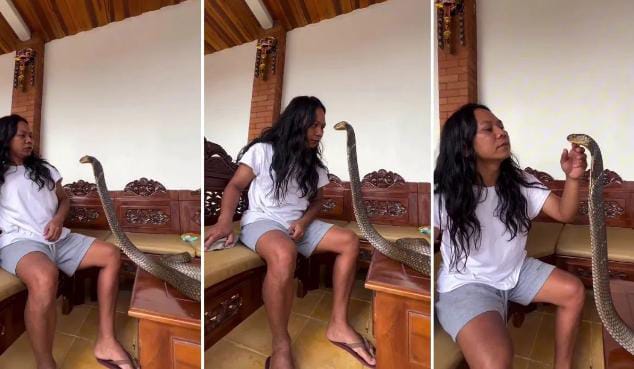 पहले किंग कोबरा से मिलाई आंखें फिर सहलाया फन,शख्स का वीडियो देख सहम गए लोग, आप भी देखिये