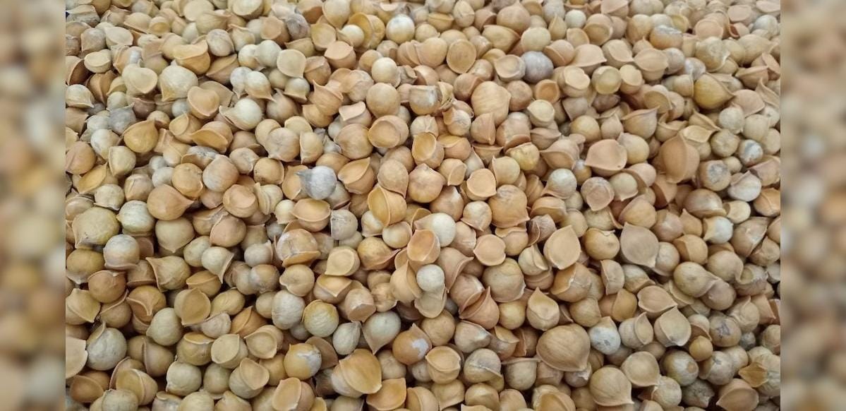 Cholesterol कम करने में काफी मददगार है कश्मीरी लहसुन! न्यूट्रिशनिस्ट ने बताया इसे खाने का सही तरीका