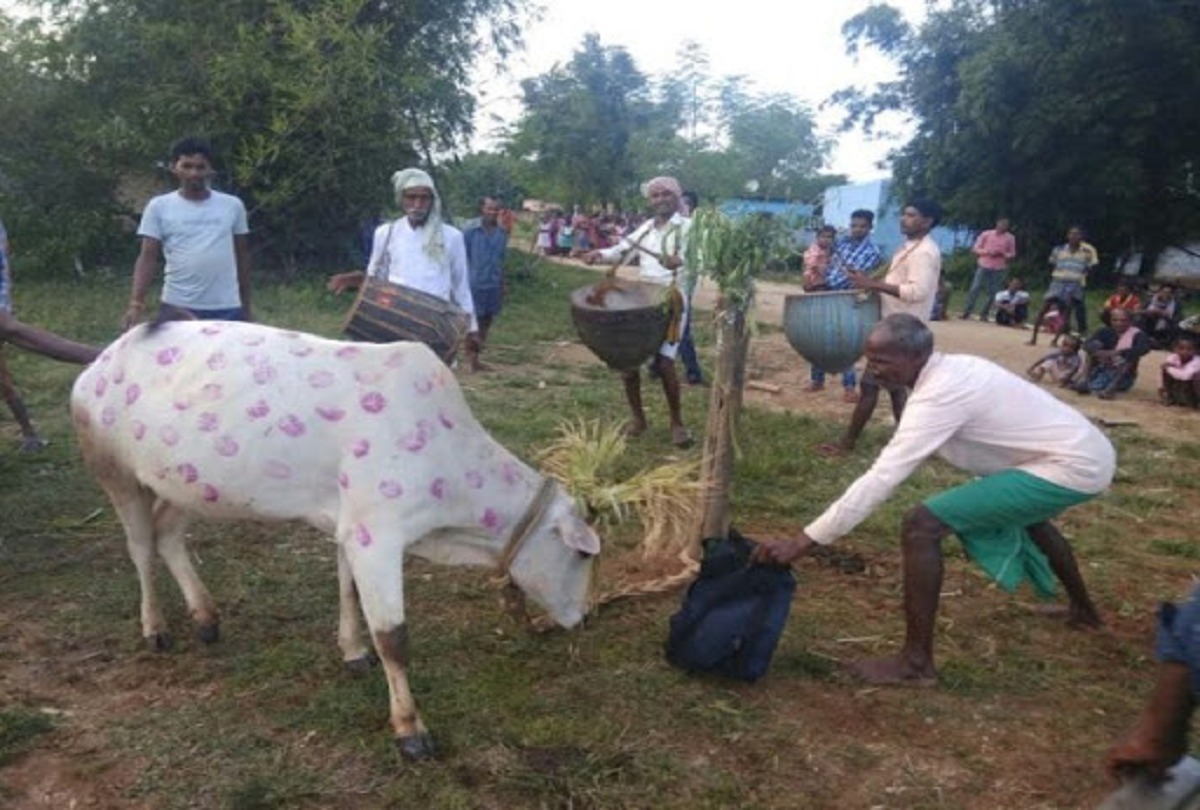 सोहराय पर इस बार दो दिनों की सरकारी छुट्टी, कल की कैबिनेट में मिल सकती है प्रस्ताव को मंजूरी
