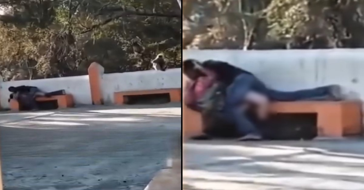 बेशर्मी की सारी हदें पार! मंदिर की कुर्सी पर ही कपल ने शुरू कर दिया Dirty काम, जानकर हो जाएंगे हैरान, अब वीडियो हो रहा वायरल