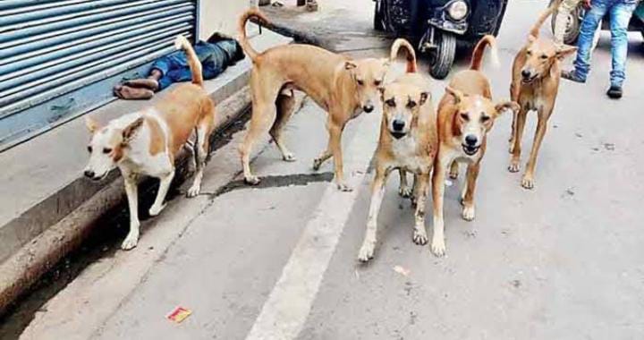 প্রাণিসম্পদমন্ত্রীর