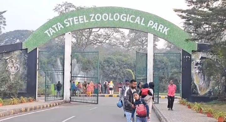 ठंड से पस्त हुई टाटा ज़ू के जानवरों की हालत, प्रबंधन ने की रूम हीटर के साथ गर्म पानी की व्यवस्था