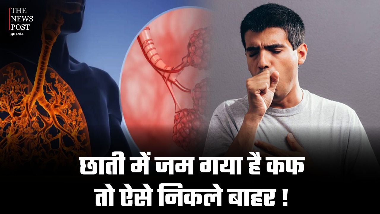 छाती में जकड़ गया है कफ और खांस - खांस कर हो रहें परेशान तो अपनाएं ये आयुर्वेदिक तरीका, तुरंत मिलेगा आराम