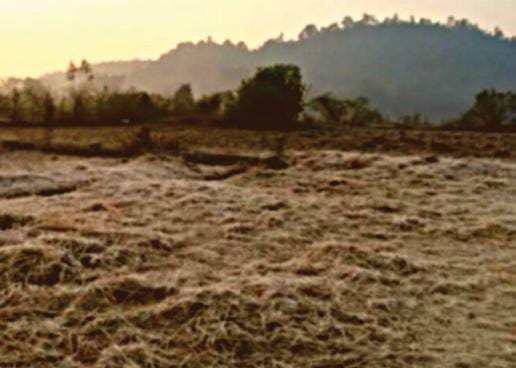 Weather Alert: झारखंड में सूर्य के दर्शन भी हुए दुर्लभ! बर्फीली हवा से बढ़ रही है लोगों की परेशानी, पढ़े आज का हाल