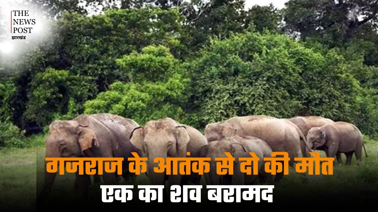 गजराज के आतंक से दो की मौत, एक का शव बरामद