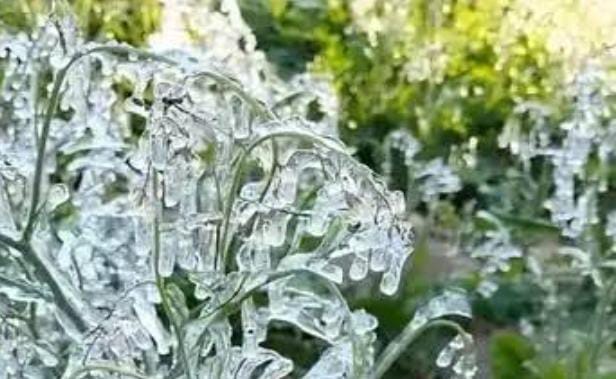 Weather Alert-झारखंड में ठंड ने तोड़े सारे रिकॉर्ड, कई जिलो का पारा पहुंचा 5 डिग्री से नीचे, जनजीवन अस्त-व्यस्त