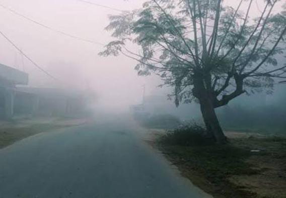 Weather Alert:झारखंड के मौसम पर IMD का बड़ा अपडेट, अगले 5 दिनों के अंदर होगा मौसम में बड़ा बदलाव