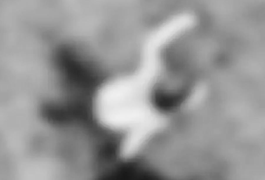 गुमला में भीषण सड़क हादसा: तिलकुट बेचने जा रहे 4 लोगों को हाईवा ने रौंदा, मौके पर मौत, 2 की हालत गंभीर