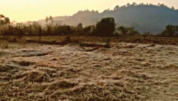 Weather Alert:ठंड से कांप रहा झारखंड! 0.8 डिग्री पहुंचा गुमला जिला का न्यूनतम पारा, घरों में दुबके लोग