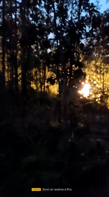 पुतरार में मिले थे भारी मात्रा में अमोनिया पाउडर, जंगल ले जाकर नष्ट किया गया तबाही का सामान