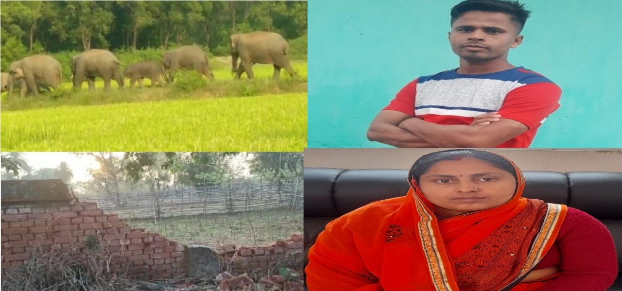 हाथियों के कारण टुंडी के किसानों को माड़ - भात पर भी आफत !