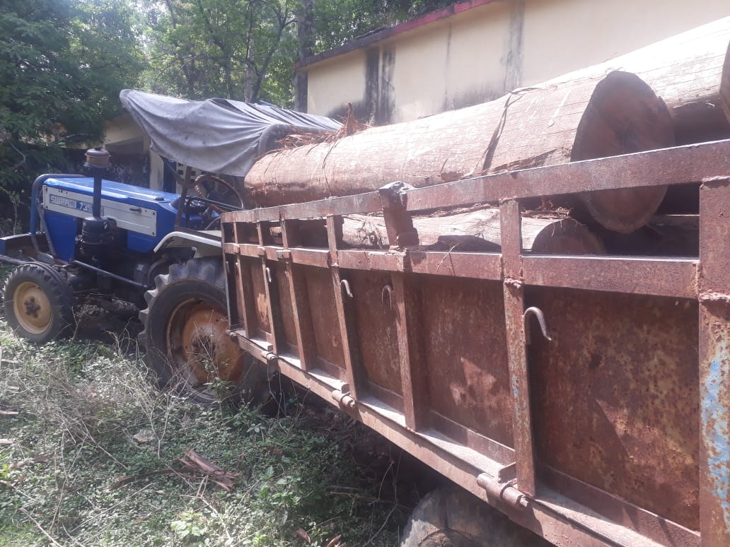तस्करी की जा रही लकड़ी ट्रैक्टर सहित जब्त, चालक फरार